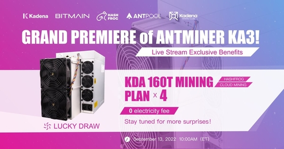 最高上の新しいBitmain Antminer KA3 166T KDA抗夫KA-3 3154W Kadenaの採掘機KD6 KD