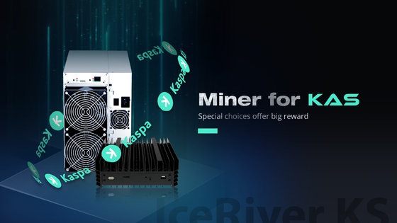 Iceriver KAS100 GH/S Hashrateの100-240V AC電圧入力、イーサネット関係